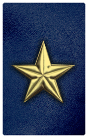 DNSHERT C 430 GD BL Star Gold Blue